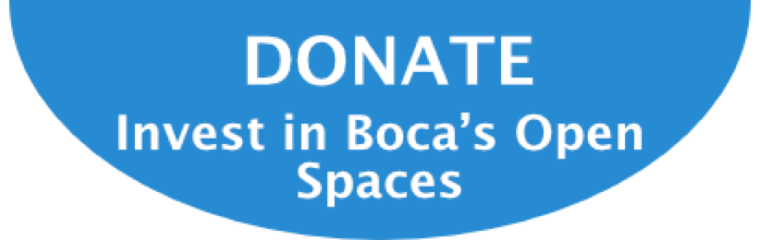 Contribute to the campaign to elect Albert for Open Spaces